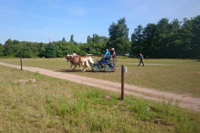 Fahrer beim Training