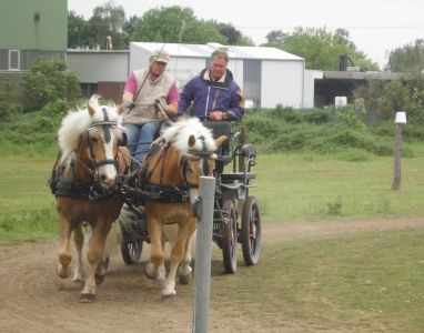 Fahrtraining mit Frans Hellegers