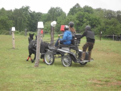 Fahrtraining mit Frans Hellegers