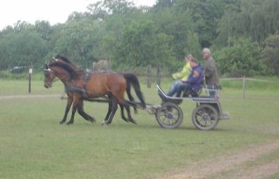 Fahrtraining mit Frans Hellegers