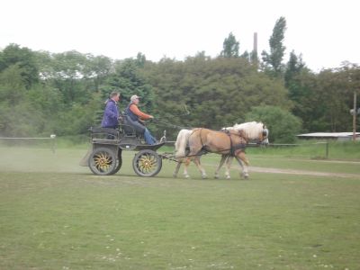 Fahrtraining mit Frans Hellegers