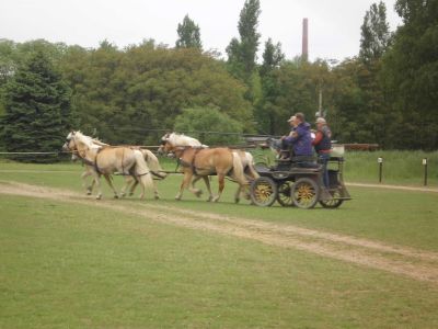 Fahrtraining mit Frans Hellegers