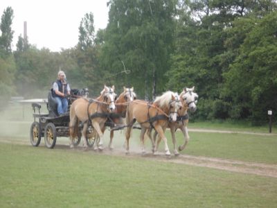 Fahrtraining mit Frans Hellegers