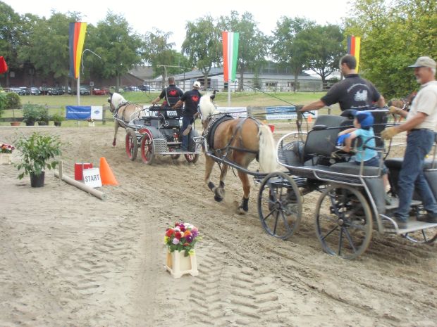 Bildansicht