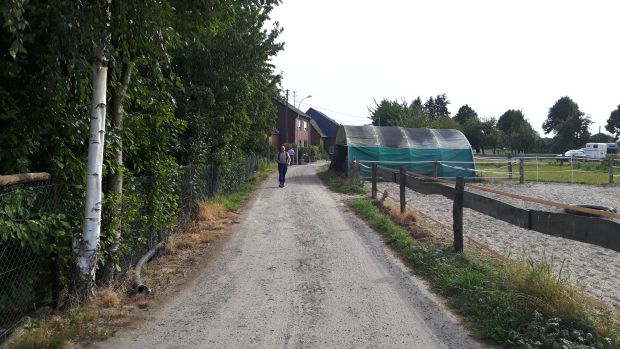 Bildansicht