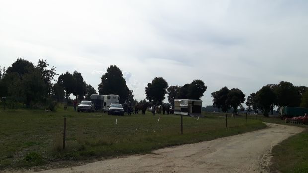 Bildansicht