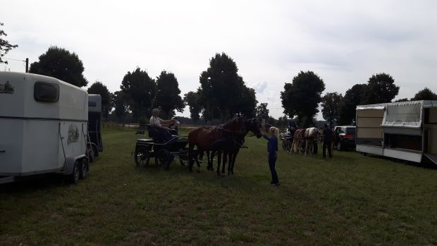 Bildansicht