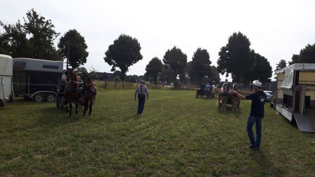 Bildansicht