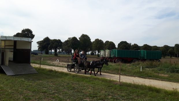 Bildansicht