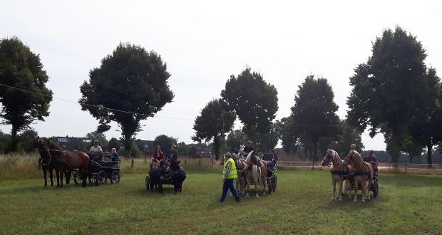Bildansicht