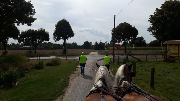 Bildansicht