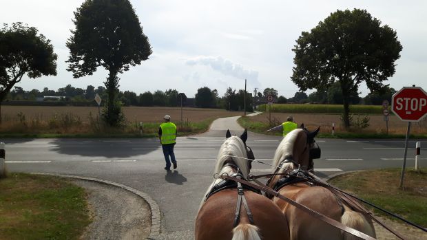 Bildansicht
