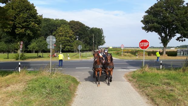 Bildansicht