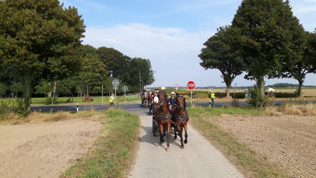 Bildansicht