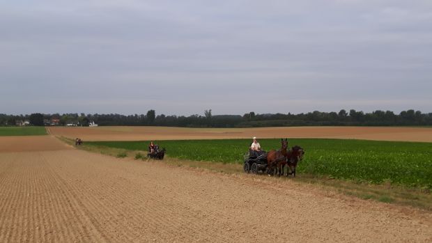 Bildansicht