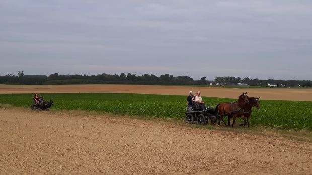 Bildansicht