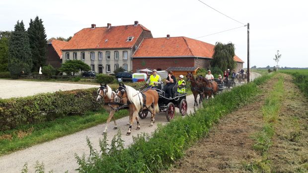 Bildansicht