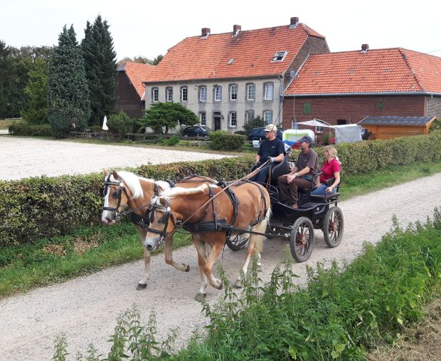 Bildansicht