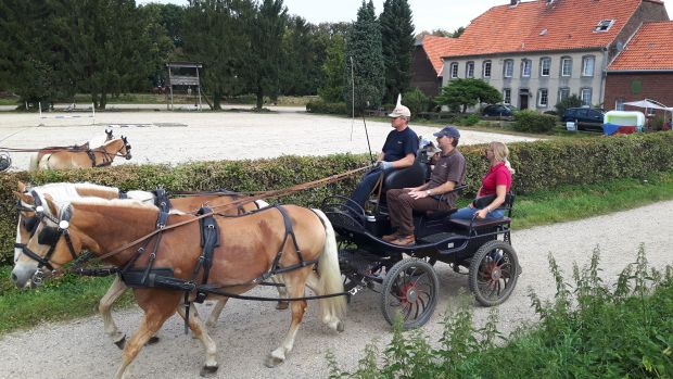 Bildansicht