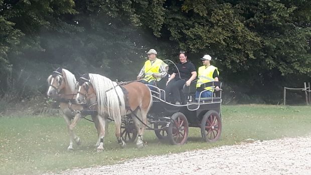 Bildansicht
