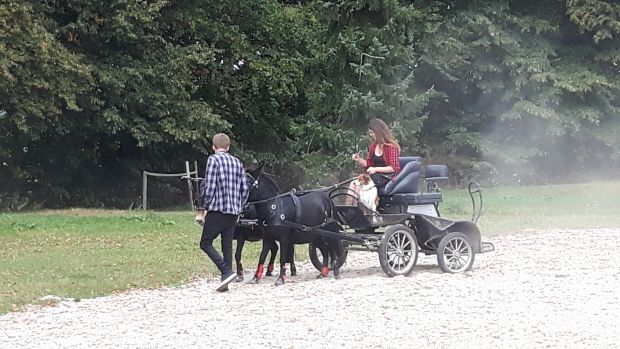 Bildansicht
