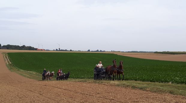Bildansicht
