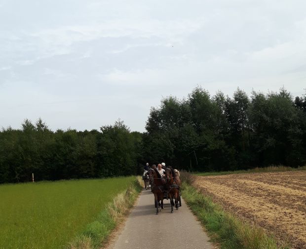 Bildansicht