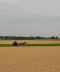20160911_120633_s.jpg