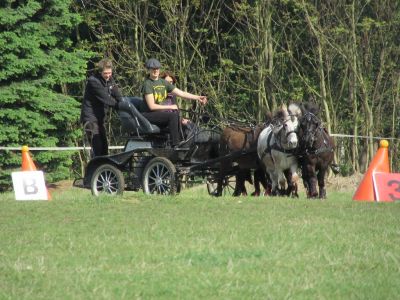 Fahrtraining mit Frans Hellegers