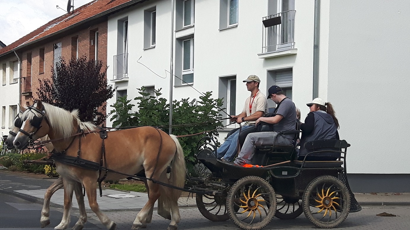 Bildansicht
