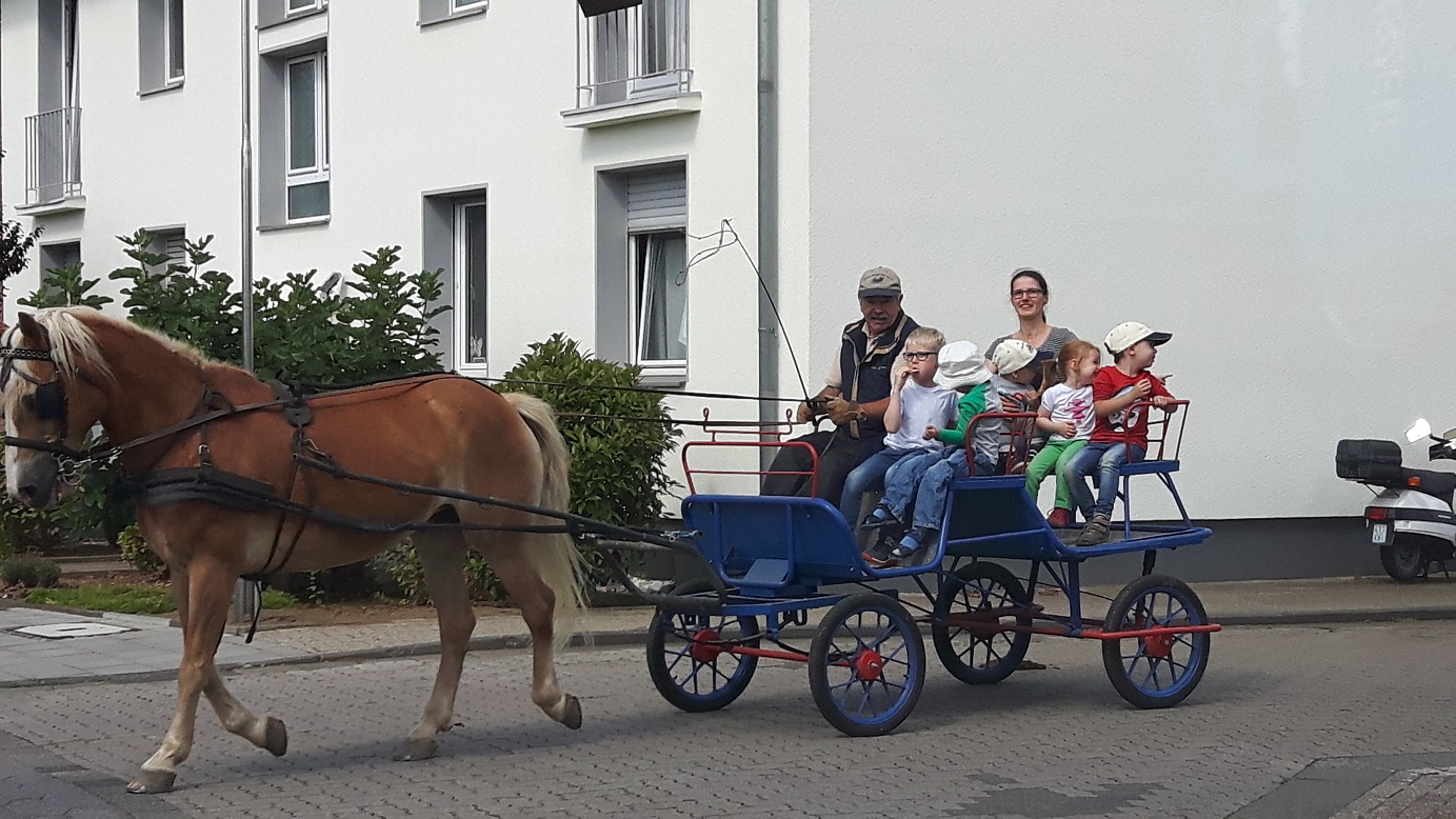 Bildansicht