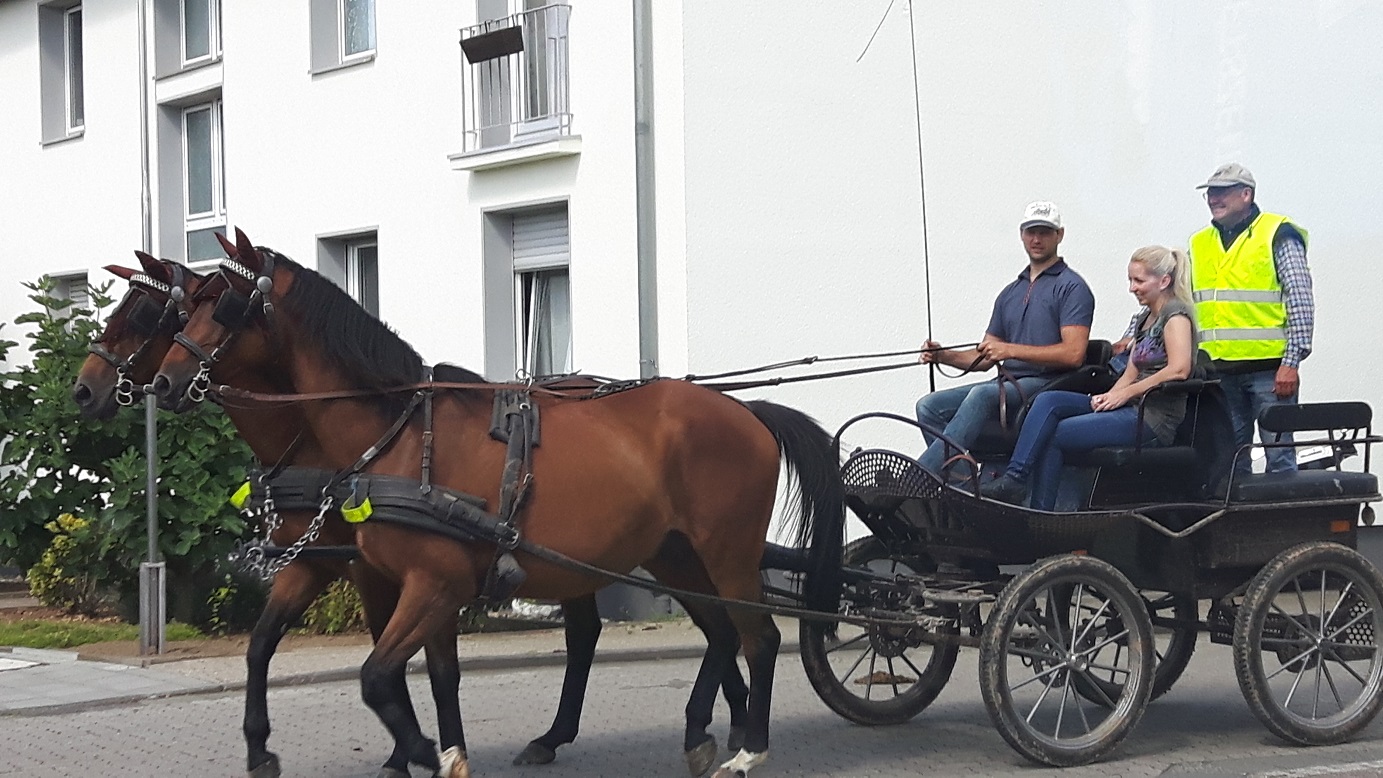 Bildansicht