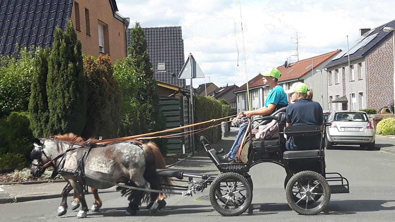 Bildansicht