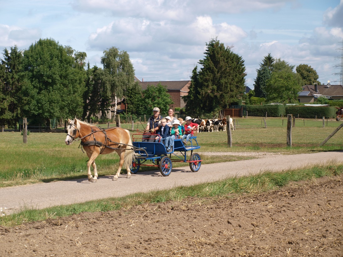 Bildansicht