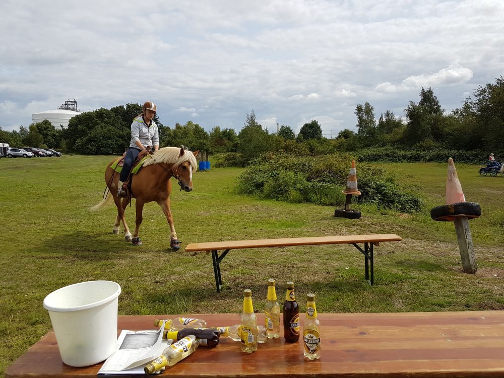 Bildansicht