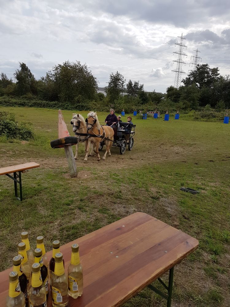 Bildansicht