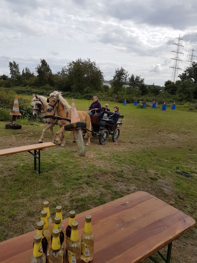 Bildansicht