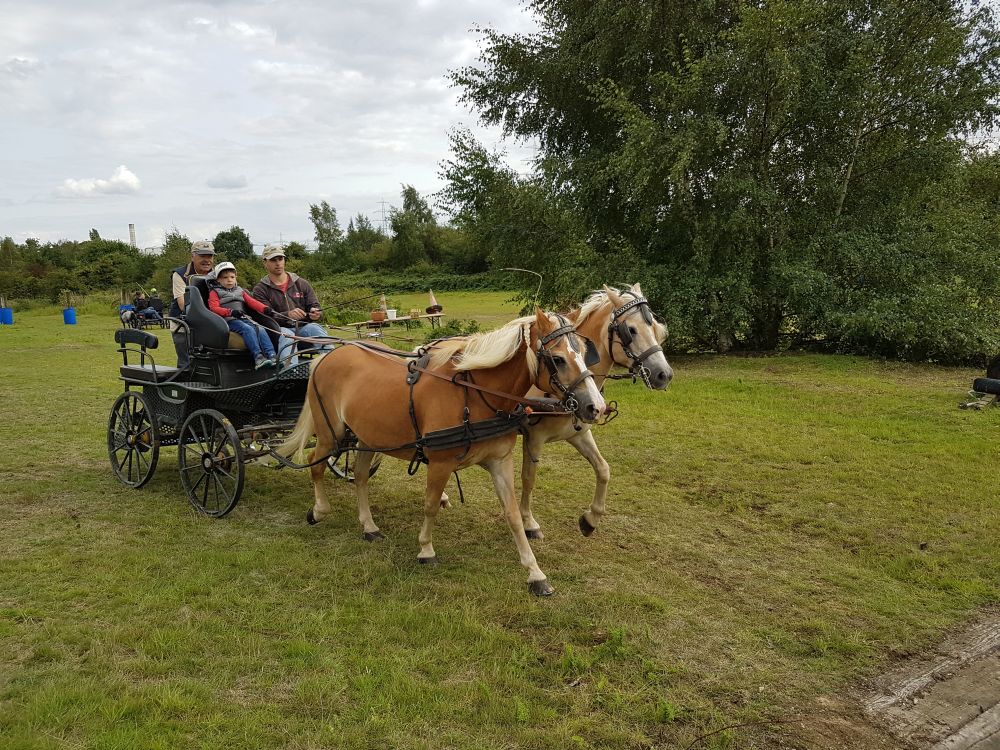 Bildansicht