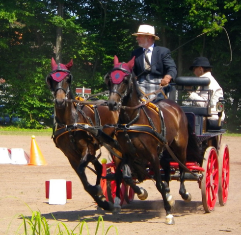 Fahrtraining mit Dirk Sonntag