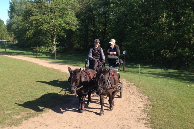 Fahrtraining mit Dirk Sonntag