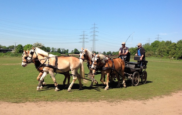 Fahrtraining mit Dirk Sonntag