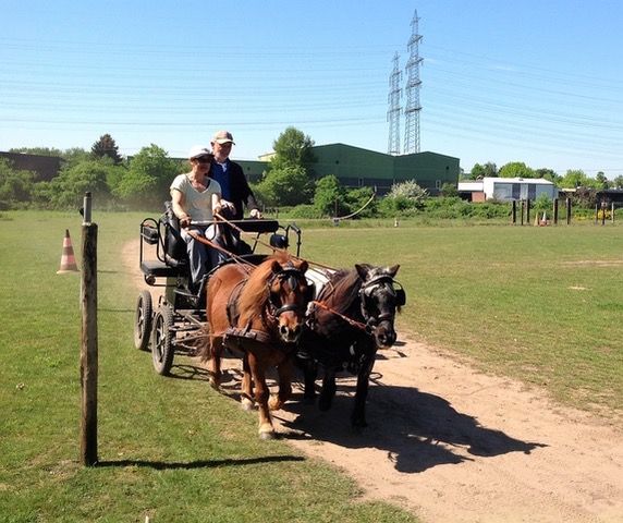 Fahrtraining mit Dirk Sonntag