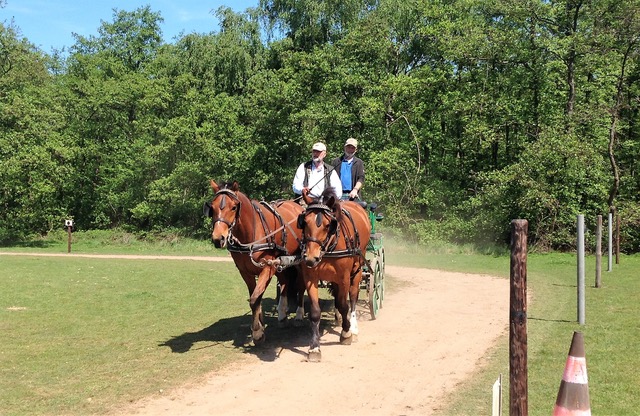 Fahrtraining mit Dirk Sonntag