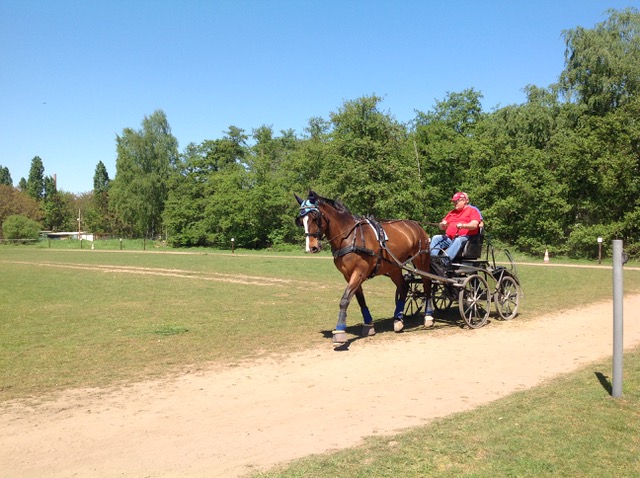 Fahrtraining mit Dirk Sonntag