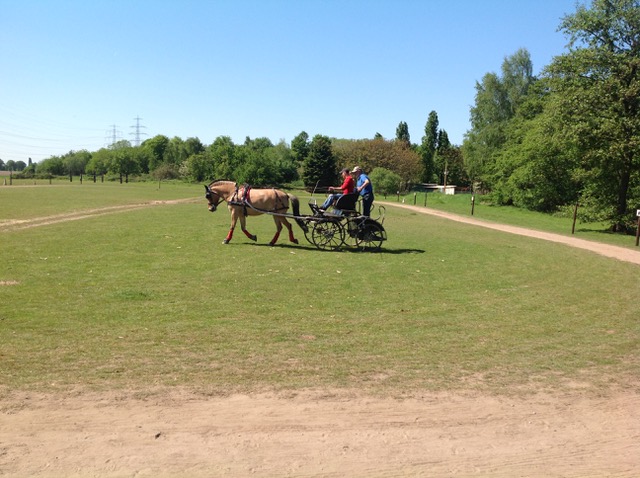 Fahrtraining mit Dirk Sonntag