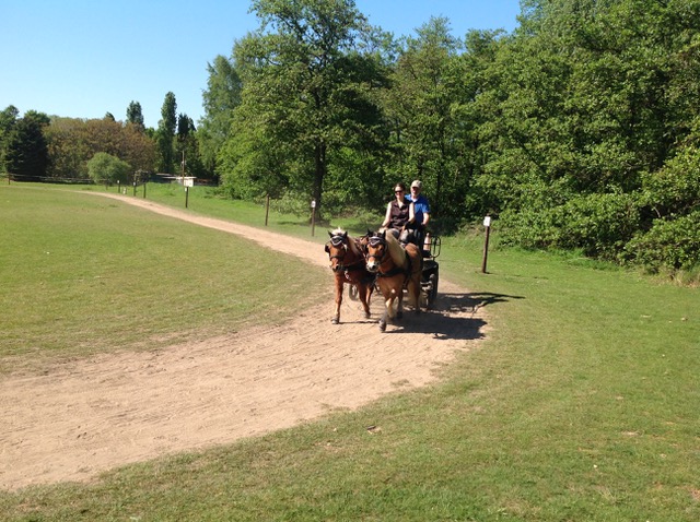 Fahrtraining mit Dirk Sonntag