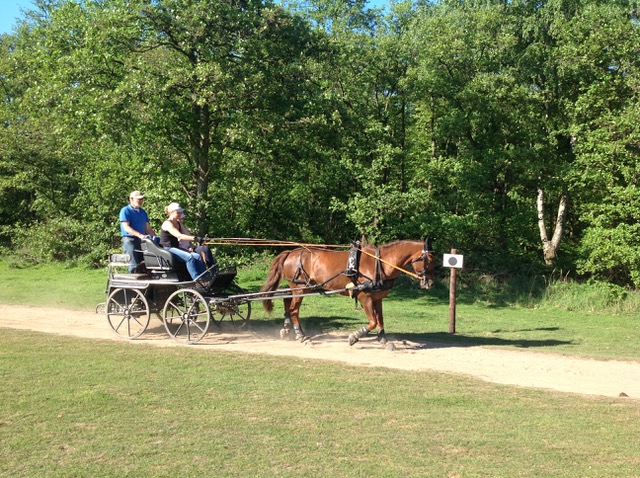 Fahrtraining mit Dirk Sonntag Fahrtraining mit Dirk Sonntag