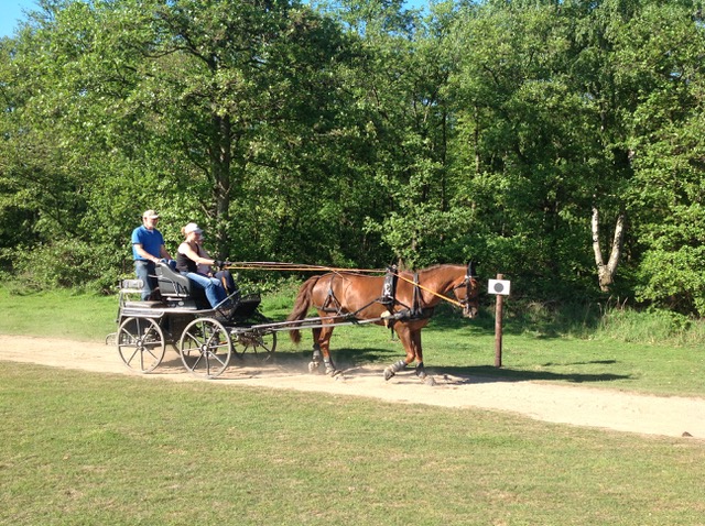 Fahrtraining mit Dirk Sonntag