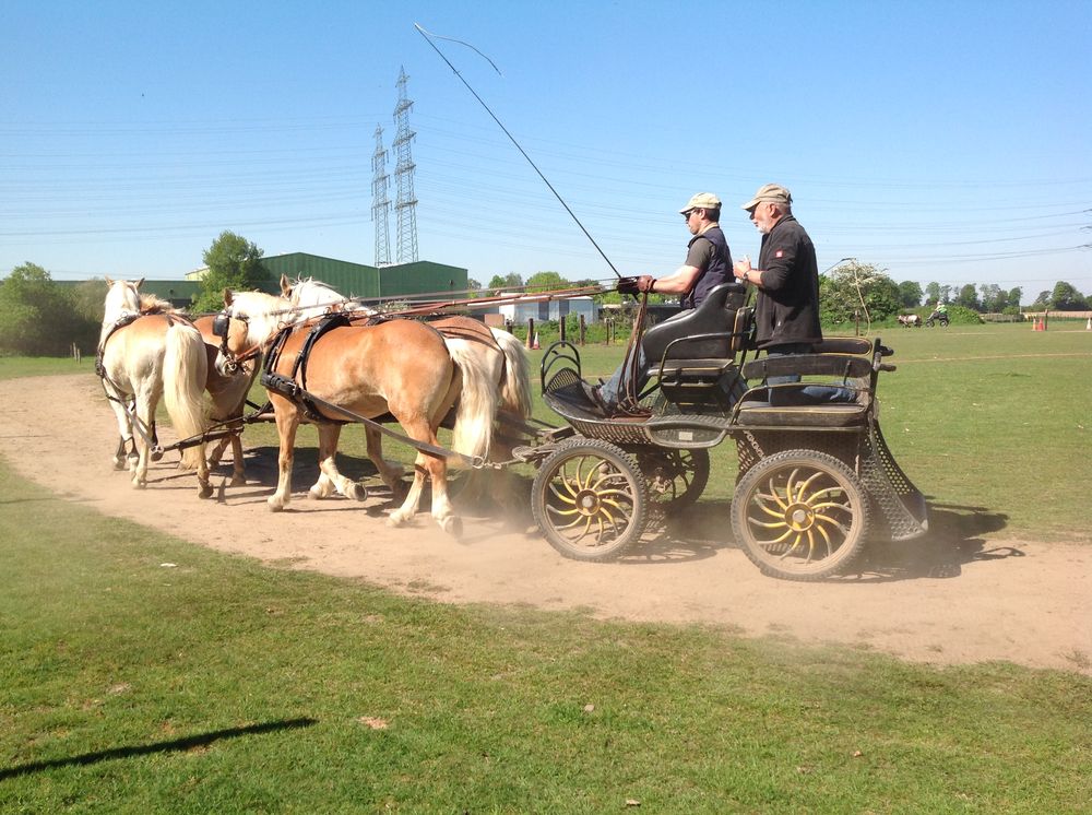 Bildansicht