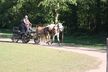 IMG_5268_ergebnis.JPG